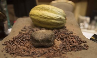 Foto de archivo.Vista de cacao. EFE/ Jorge Torres