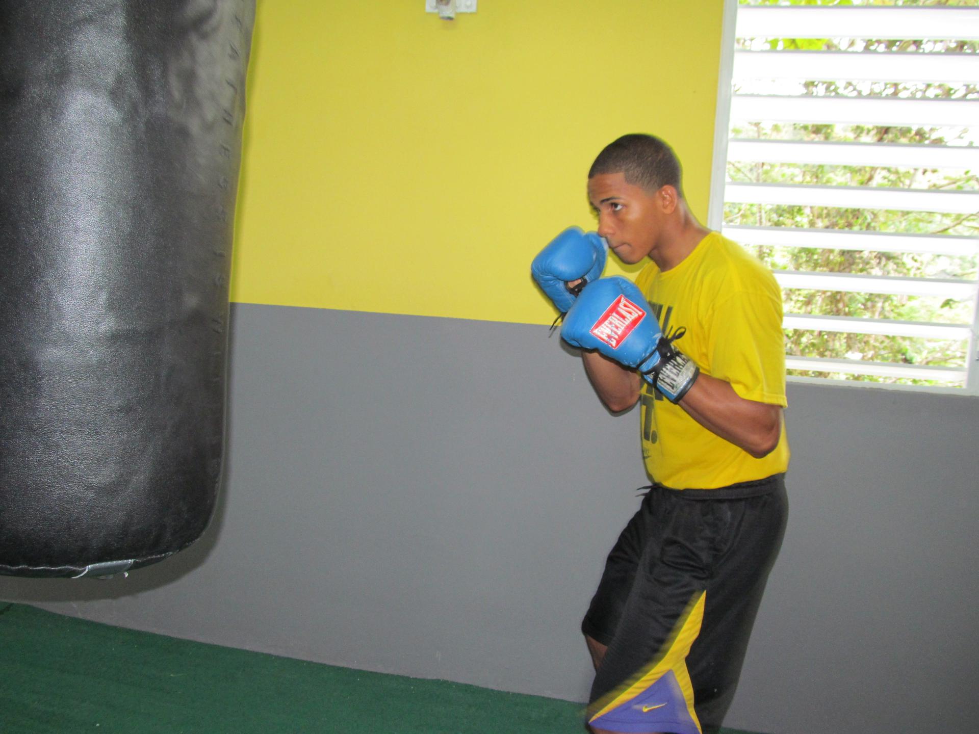 Fotografía de archivo donde aparece el boxeador puertorriqueño Félix Verdejo. EFE/Jorge J. Muñiz