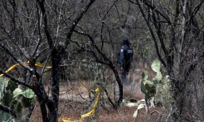 Un policía Municipal realiza un operativo de inspección y búsqueda de personas desaparecidas hoy en un terreno en el municipio de Escobedo en el norteño estado de Nuevo León. EFE/Miguel Sierra