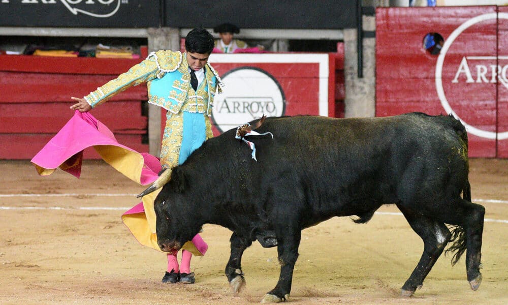 Fotografía de archivo donde aparece el torero Jesús Sosa. EFE/Tadeo Alcina