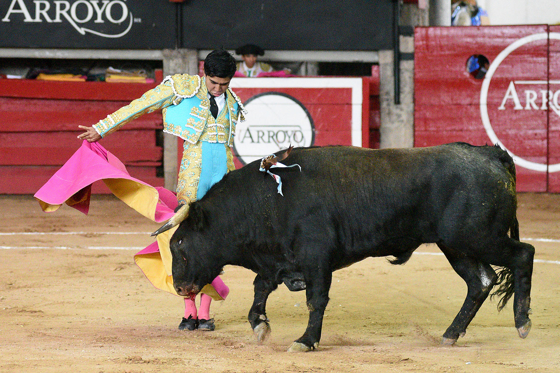 Fotografía de archivo donde aparece el torero Jesús Sosa. EFE/Tadeo Alcina