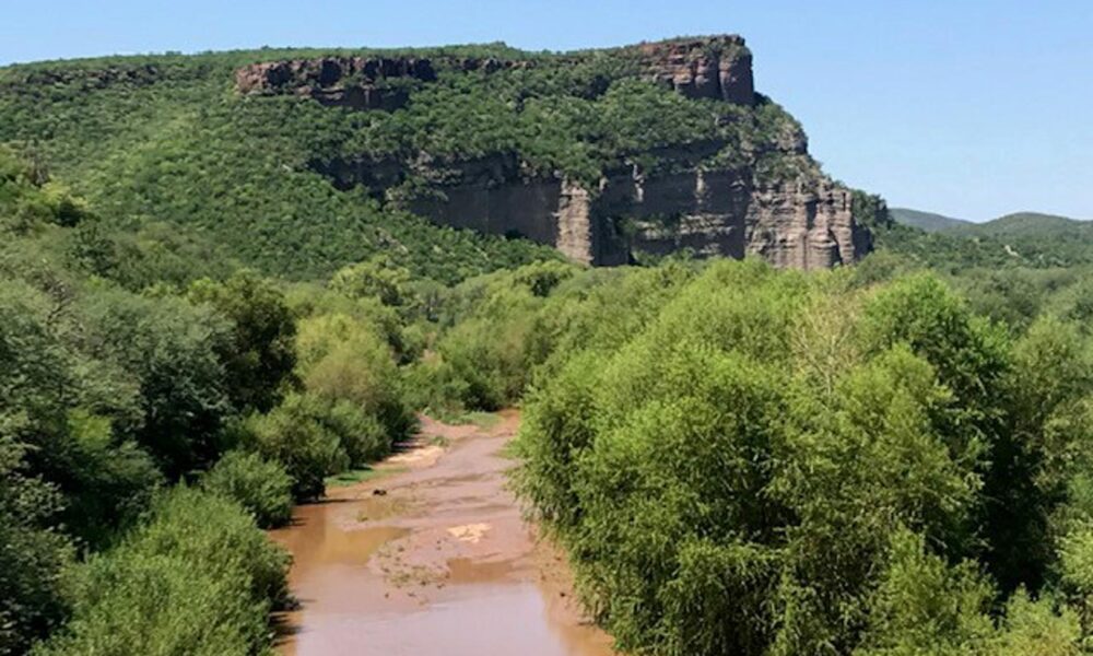 Fotografía del 3 de julio de 2019 muestra una vista general del río Sonora, en el estado homónimo de México. EFE/Daniel Sánchez Dorame/MÉJOR CALIDAD DISPONIBLE