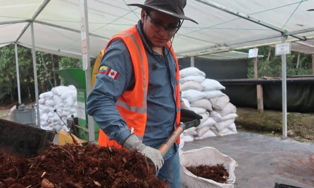 Un hombre trabaja en un vivero el 11 de septiembre de 2023, en Zamora Chinchipe (Ecuador). EFE/ Juan Francisco Chavez