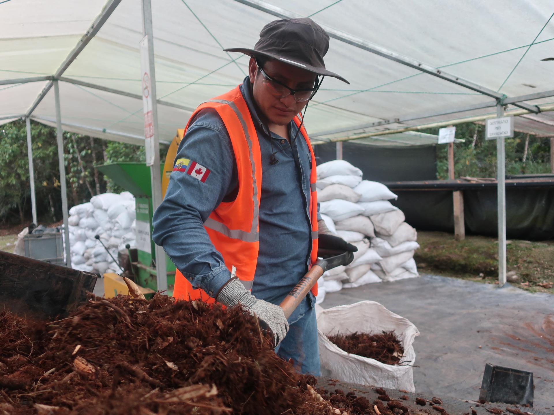 Un hombre trabaja en un vivero el 11 de septiembre de 2023, en Zamora Chinchipe (Ecuador). EFE/ Juan Francisco Chavez