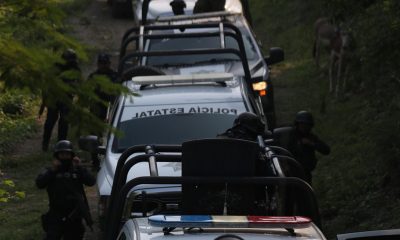 Miembros del Ejército Mexicano, Marina Armada de México, Guardia Nacional, Policía Estatal y la Unidad Canina de la FGE, participan en la búsqueda de personas desaparecidas hoy, en la ciudad de Chilpancingo, Guerrero (México). EFE/José Luis De La Cruz