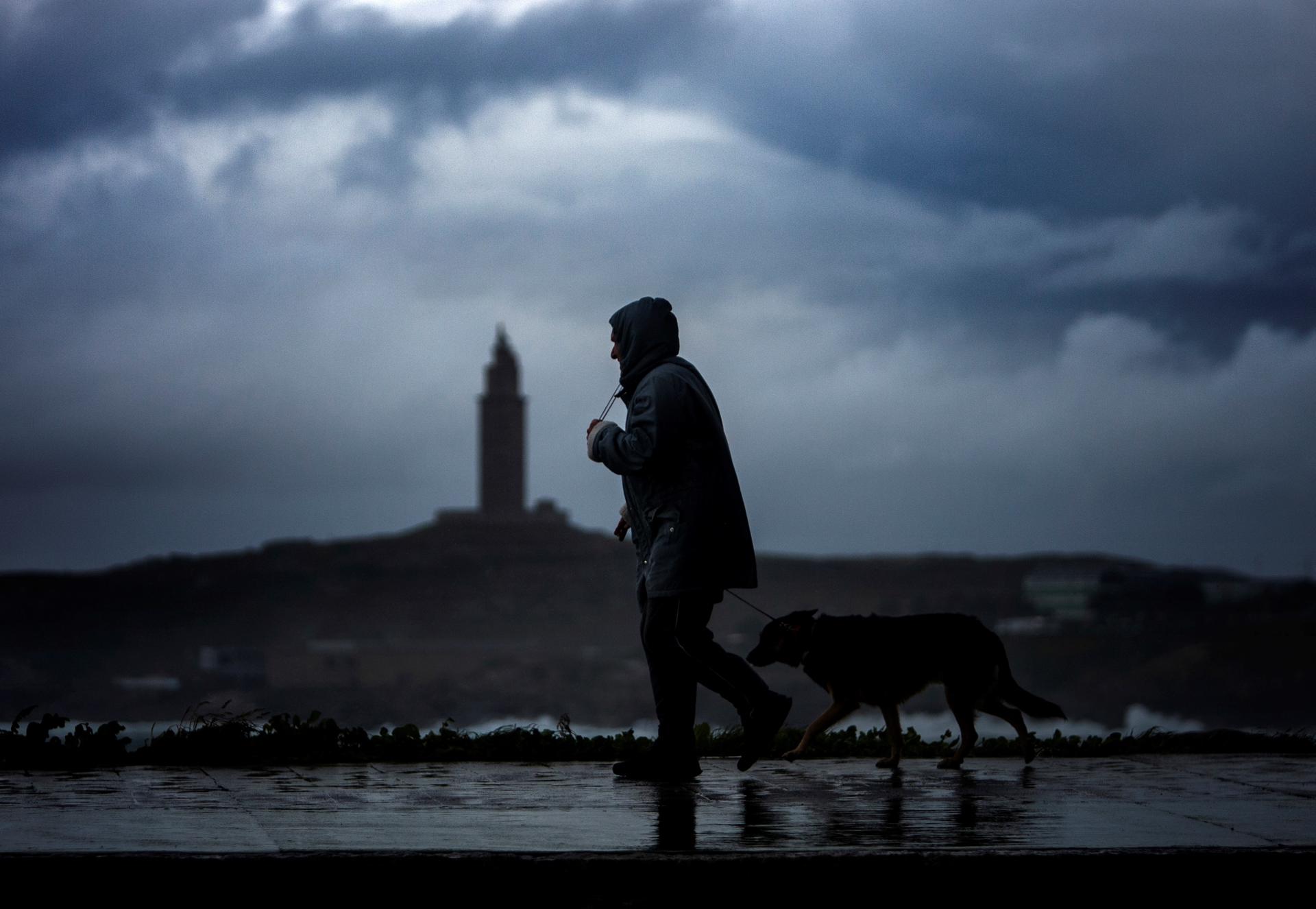 Un hombre pasea con su perro en una imagen de archivo. EFE/Cabalar