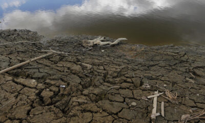 Vista del lago Carraizo tras haber bajado considerablemente su nivel del agua. Imagen de archivo. EFE/Thais Llorca