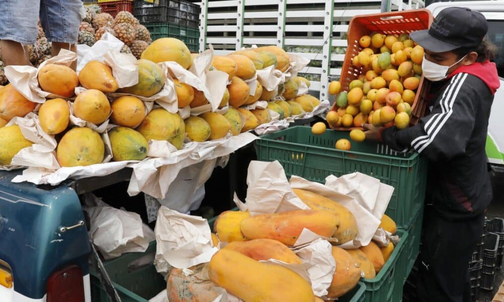 Fotografía de archivo fechada el 5 de abril de 2022 que muestra a comerciantes que trabajan en la venta y distribución de alimentos en la plaza de mercado Corabastos, en Bogotá (Colombia). EFE/Carlos Ortega