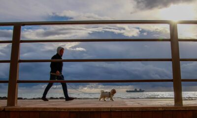Un hombre pasea a su perro en el puerto de Palma . EFE/CATI CLADERA