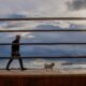 Un hombre pasea a su perro en el puerto de Palma . EFE/CATI CLADERA