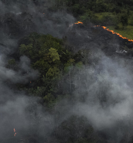 Fotografía aérea muestra, el 7 de septiembre de 2023, uno de los incendios causados en la selva amazónica, en el municipio de Manaquiri cerca a Manaos, estado de Amazonas (Brasil). EFE/ Raphael Alves