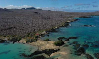El proyecto Restauración Ecológica en Floreana, una de las islas del archipiélago ecuatoriano de Galápagos, comenzará este martes, con la primera aplicación de cebos para erradicar del ecosistema de esta isla a las especies invasoras, luego de casi doce años de planificación. TVEFE