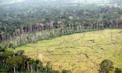 Aspecto general del área deforestada en zona rural de Nueva Colombia (Colombia), en una fotografía de archivo. EFE/Mauricio Dueñas Castañeda