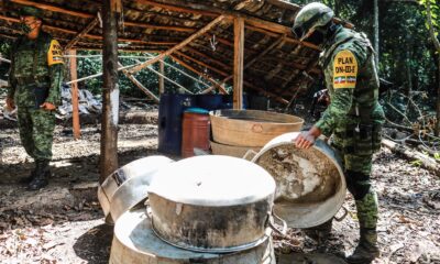 Un miembro del Ejército muestra el campamento y laboratorio clandestino que el Ejército Mexicano destruyó junto a cuatro hectáreas de plantas de coca en el municipio de Atoyac de Álvarez, en la sierra del estado de Guerrero (México). Fotografía de archivo. EFE/David Guzmán