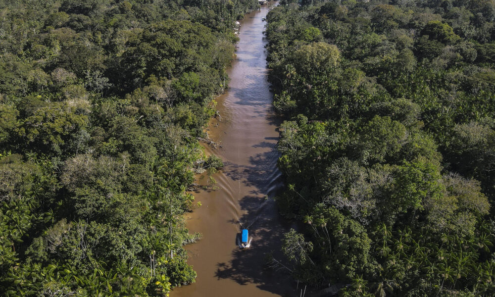 Fotografía aérea que muestra un área de la selva amazónica en el estado de Pará (Brasil). EFE/ Antonio Lacerda