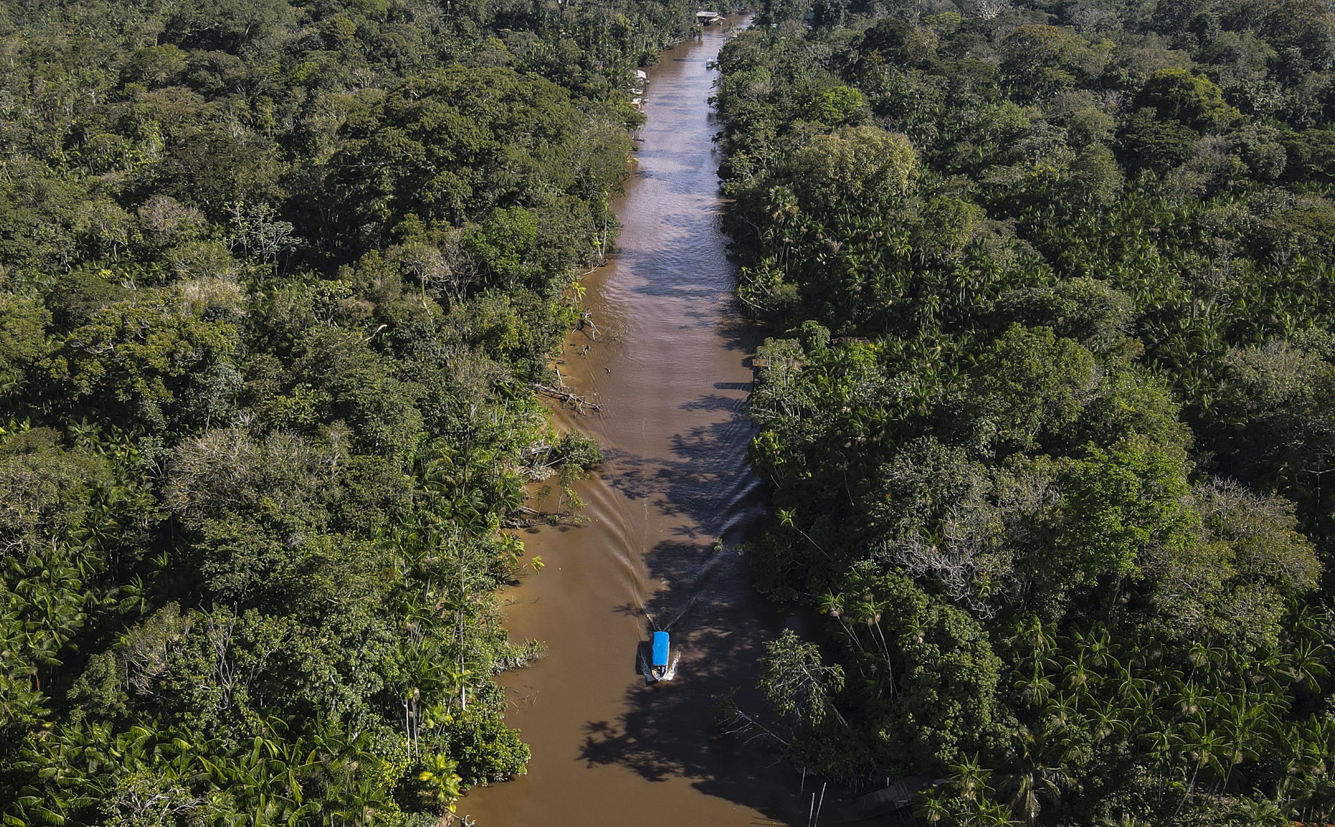 Fotografía aérea que muestra un área de la selva amazónica en el estado de Pará (Brasil). EFE/ Antonio Lacerda