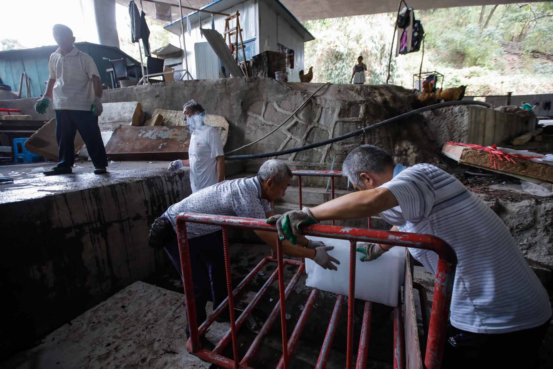 Imagen de archivo de unos trabajadores en un mercado de mariscos en China.EFE/EPA/WU HAO