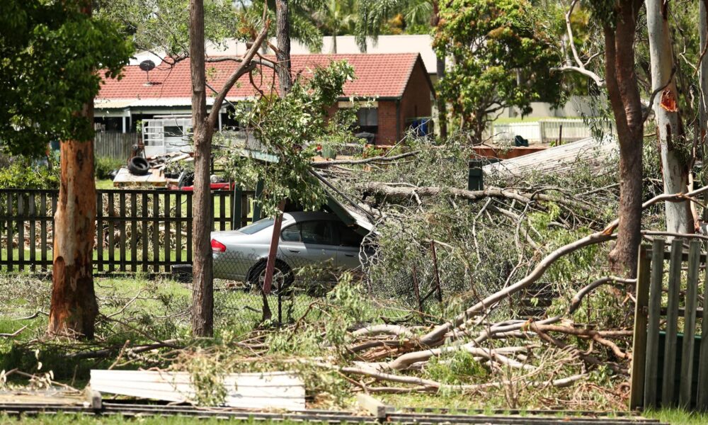 Registro general este 27 de diciembre de los daños causados a un automóvil en medio de árboles caídos, luego de que fuertes tormentas azotaran el este de Australia, en Helensvale (Queensland, Australia). EFE/Jason O'Brien