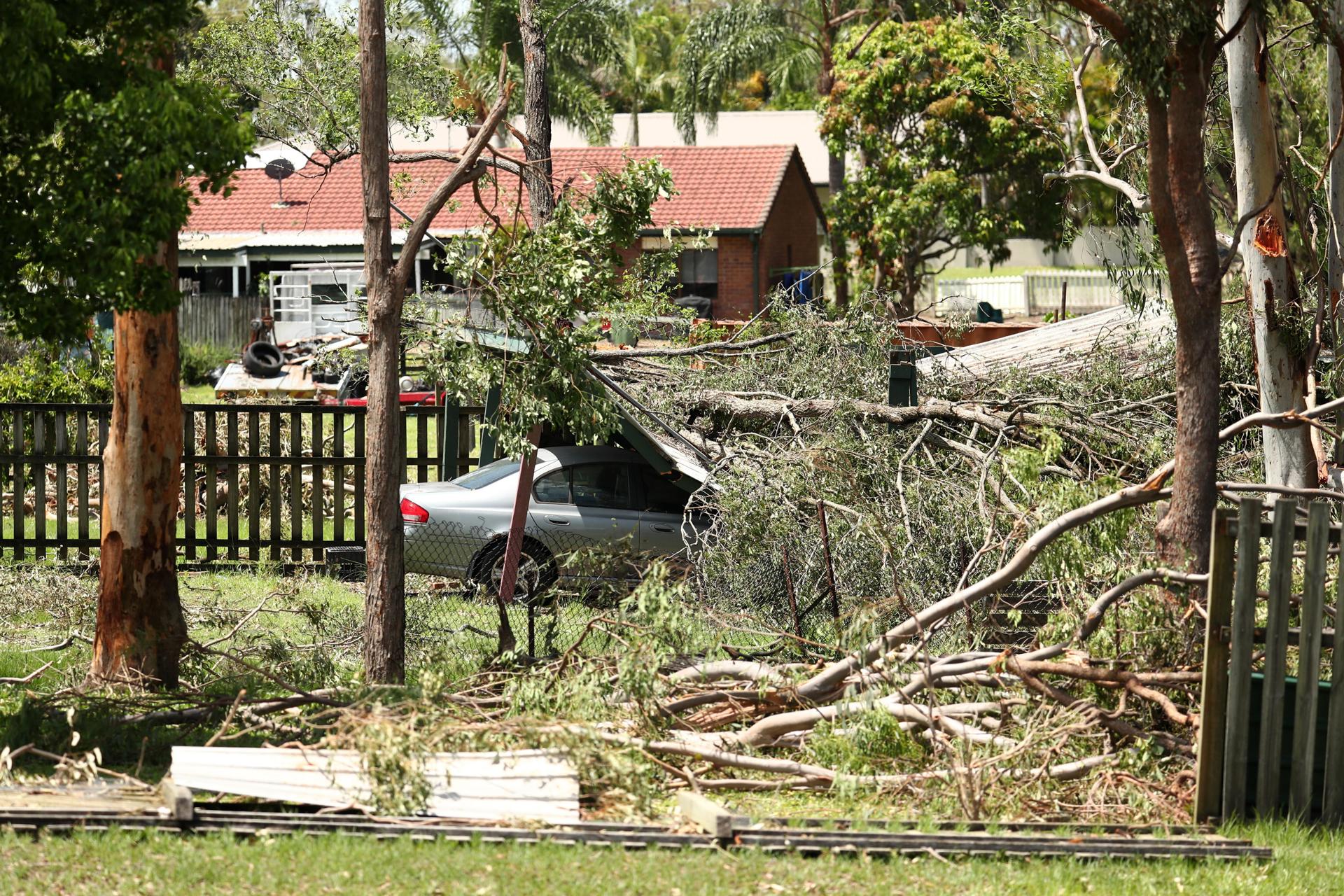 Registro general este 27 de diciembre de los daños causados a un automóvil en medio de árboles caídos, luego de que fuertes tormentas azotaran el este de Australia, en Helensvale (Queensland, Australia). EFE/Jason O'Brien