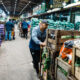 Personas realizan descarga de frutas y verduras, en el mercado central de frutas y verduras, en Buenos Aires (Argentina), en una fotografía de archivo. EFE/Juan Ignacio Roncoroni