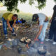 Migrantes en caravana hacia Estados Unidos preparan alimentos en un campamento improvisado hoy, en el municipio de Mapastepec, estado de Chiapas (México). EFE/Juan Manuel Blanco