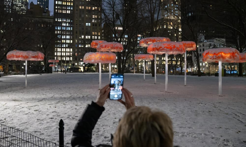 Fotografía de la obra "Dejar que el cielo sepa", de la artista argentina Ana María Hernado, una instalación que estará hasta el 17 de marzo en la plaza Madison Square Park, hoy en Manhattan, Nueva York (EE. UU). EFE/ Ángel Colmenares