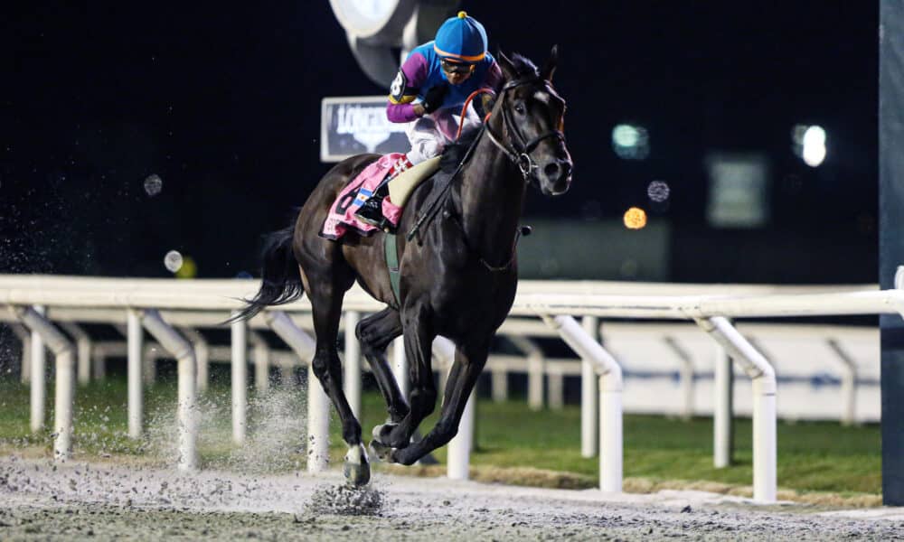 William Pereyra, sobre su caballo Ever Daddy, compite en el Gran Premio José Pedro Ramírez hoy, en el Hipódromo Nacional de Maroñas en Montevideo (Uruguay). EFE/Gastón Britos