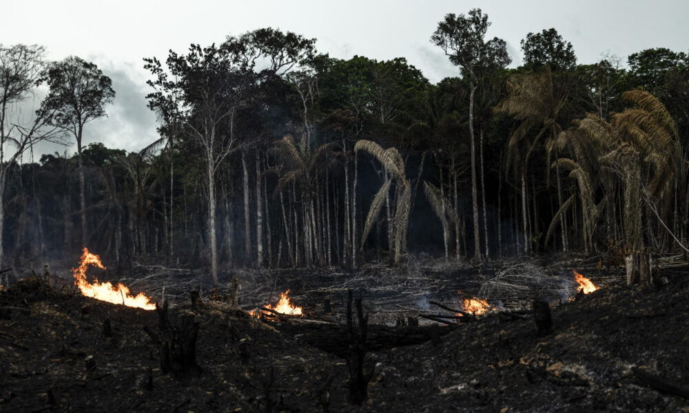 Vista de incendios en Careiro da Várzea (Brasil), en una fotografía de archivo. EFE/Raphael Alves