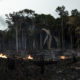 Vista de incendios en Careiro da Várzea (Brasil), en una fotografía de archivo. EFE/Raphael Alves