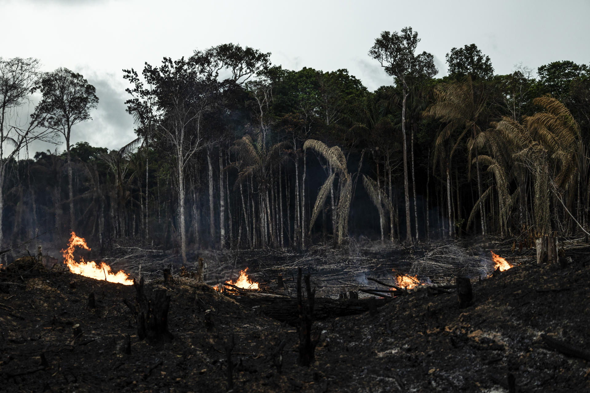 Vista de incendios en Careiro da Várzea (Brasil), en una fotografía de archivo. EFE/Raphael Alves