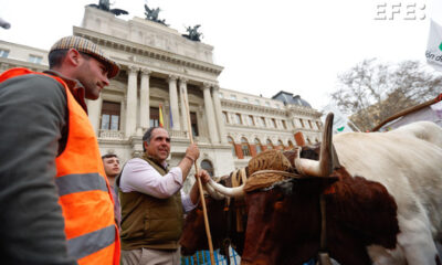 Fotografía de la protesta de agricultores llegados desde distintos puntos con sus tractores este miércoles en el centro de Madrid, en una marcha que concluye frente al Ministerio de Agricultura, Pesca y Alimentación. EFE/ J P GANDUL