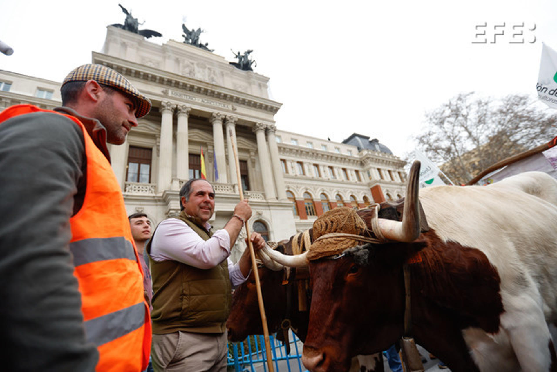 Fotografía de la protesta de agricultores llegados desde distintos puntos con sus tractores este miércoles en el centro de Madrid, en una marcha que concluye frente al Ministerio de Agricultura, Pesca y Alimentación. EFE/ J P GANDUL