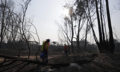 Bomberos y voluntarios tratan de extinguir los focos de un incendio en la zona de Patagual, en Viña del Mar (Chile). EFE/ Ailen Díaz