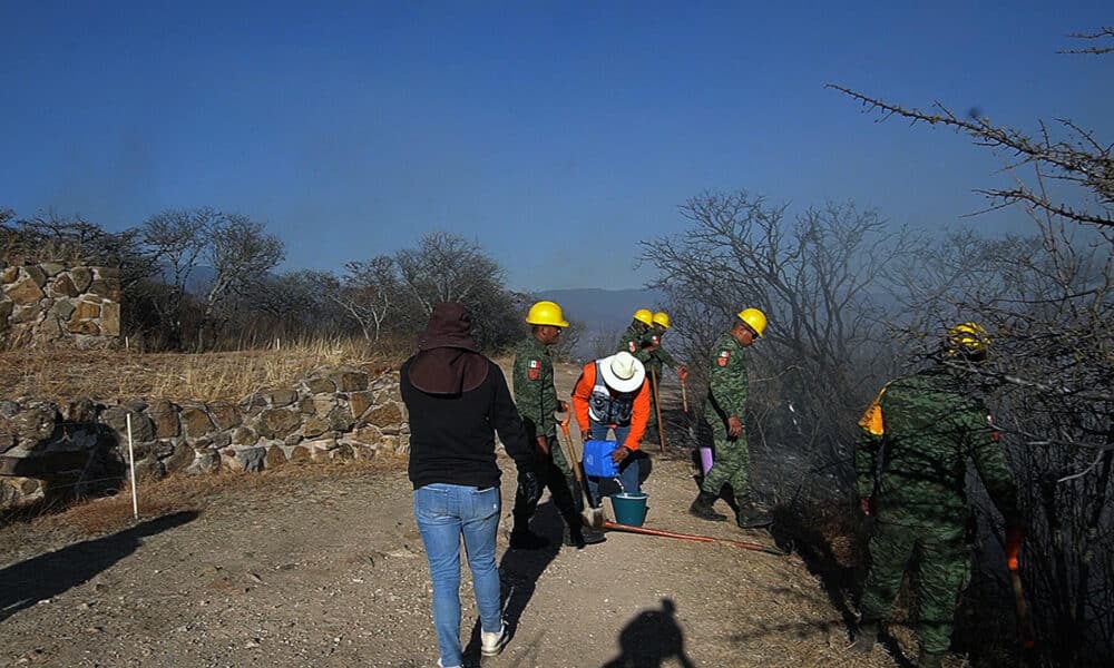 Personal del ejército mexicano controlan un incendio este jueves, en las cercanías de la zona arqueológica de Monte Albán en el municipio de Xoxocotlán, Oaxaca (México). EFE/Jesús Méndez