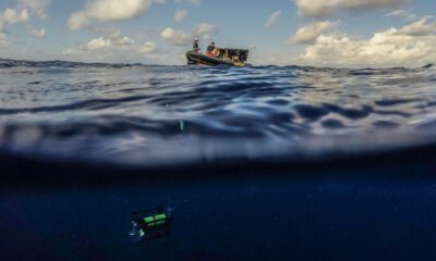 Fotografía de una cámara submarina lanzada al agua por investigadores de Greenpeace para realizar estudios del monte submarino Paramount, situado a 360 kilómetros de Isabela, el 5 de marzo de 2024, en los Galápagos (Ecuador). EFE/ José Jácome