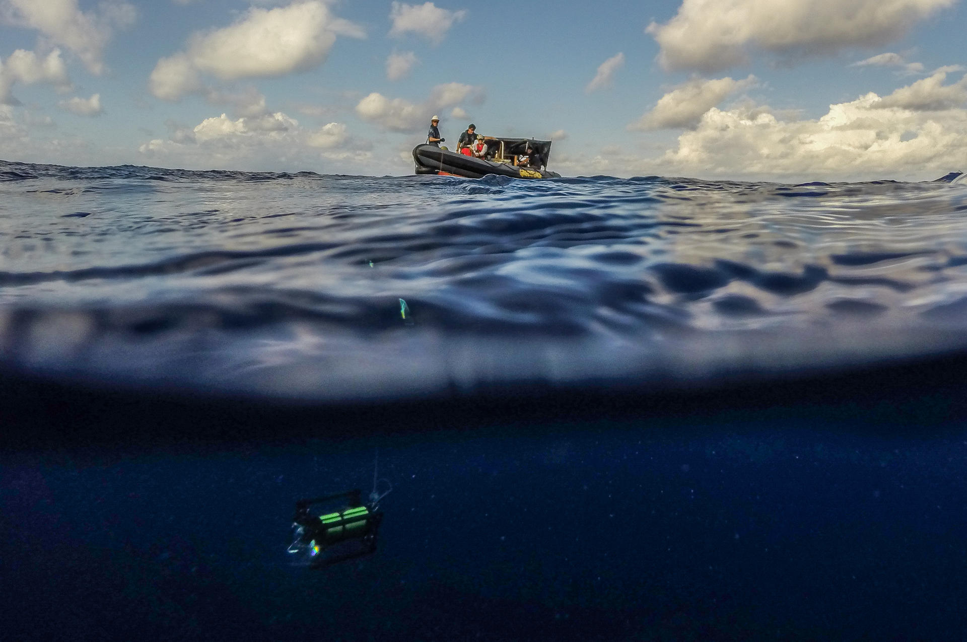 Fotografía de una cámara submarina lanzada al agua por investigadores de Greenpeace para realizar estudios del monte submarino Paramount, situado a 360 kilómetros de Isabela, el 5 de marzo de 2024, en los Galápagos (Ecuador). EFE/ José Jácome