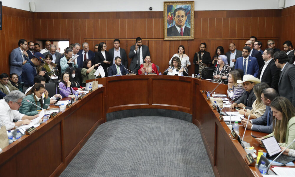 La presidenta de la Comisión Séptima del Senado, Martha Isabel Peralta Epieyu (c), habla este miércoles durante un debate en la sala de la Comisión, en Bogotá (Colombia). EFE/Carlos Ortega