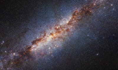Imágenes de la galaxia messier 82 tomadas con el telescopio webb. Universidad de Granada