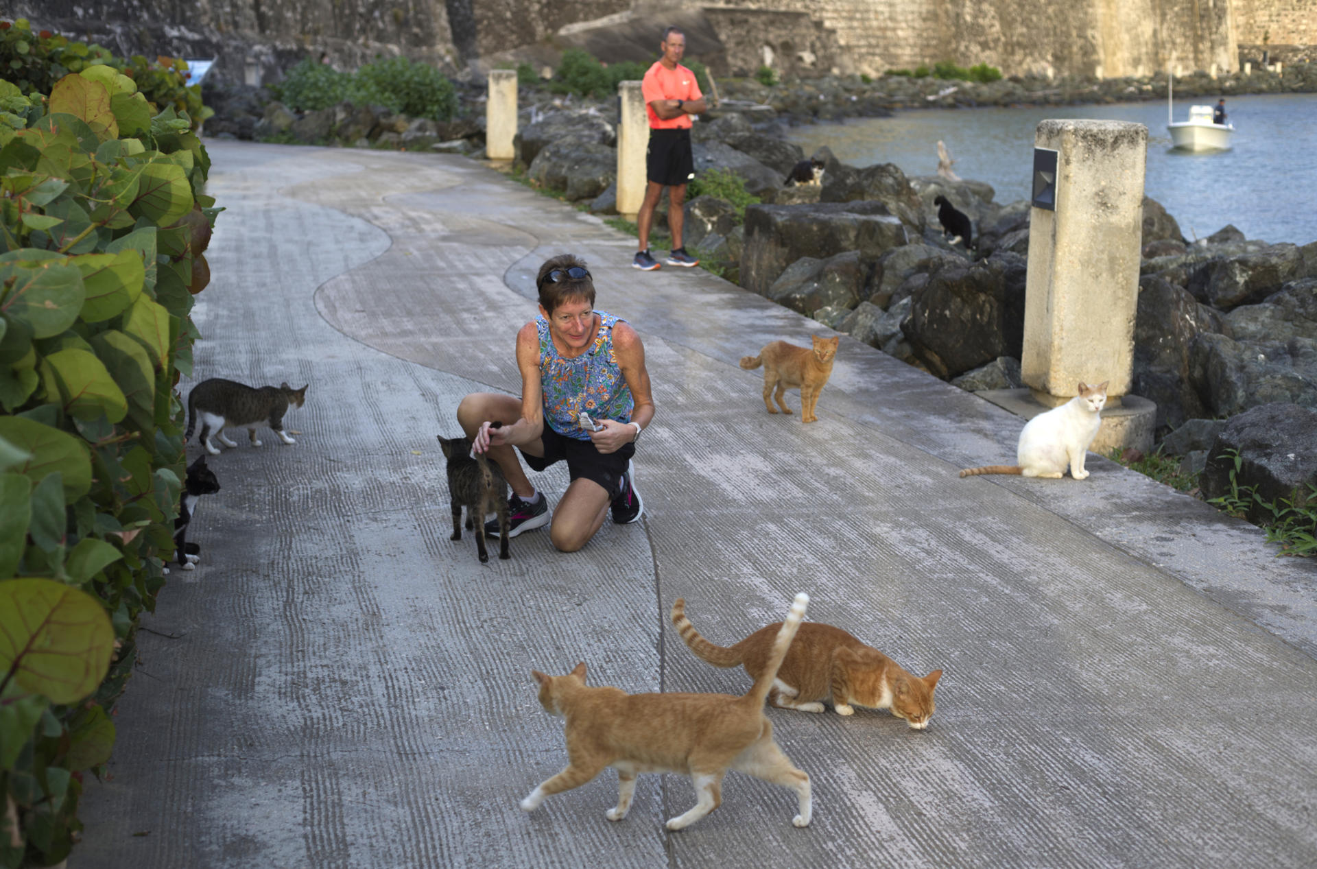 Fotografía que muestra mujer mientras acaricia unos gatos el 26 de marzo de 2024 en la muralla del barrio colonial del Viejo San Juan en Puerto Rico. EFE/Thais Llorca