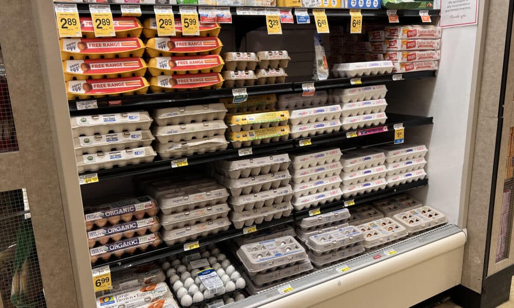 Fotografía de archivo de una nevera con huevos y sus precios en un supermercado de Washington (EEUU). EFE/ Octavio Guzmán