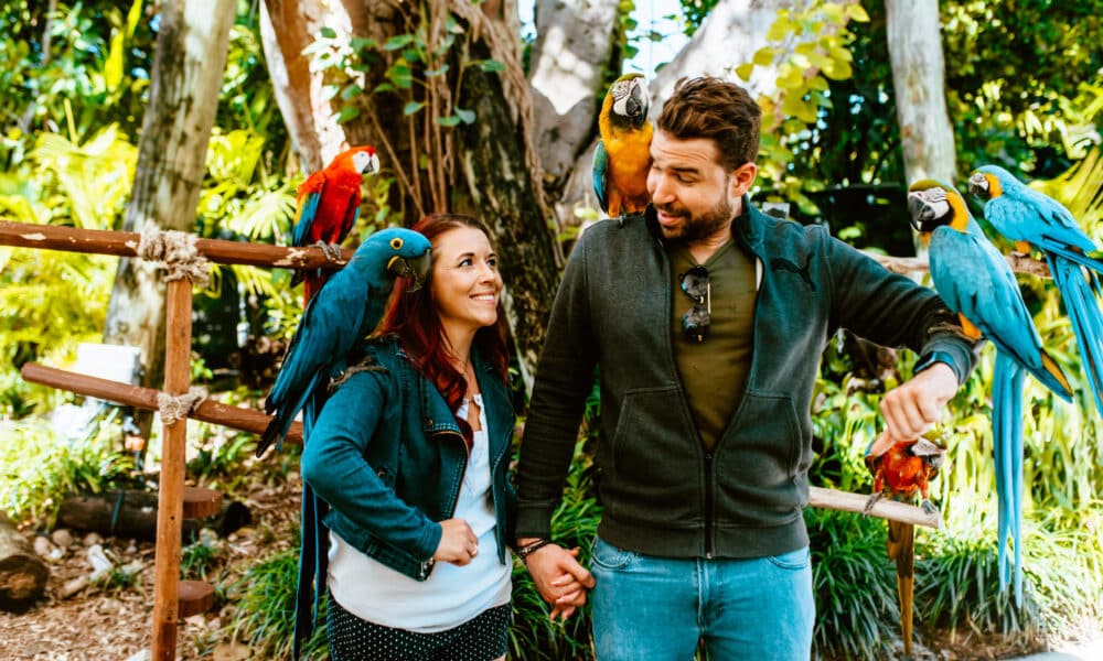 Fotografía cedida por Jungle Island donde se ve a una pareja mientras disfruta un paseo en el parque acuático Jungle Splash, en Miami Beach, Florida (Estados Unidos). EFE/ Jungle Island / SOLO USO EDITORIAL/ SOLO DISPONIBLE PARA ILUSTRAR LA NOTICIA QUE ACOMPAÑA (CRÉDITO OBLIGATORIO)