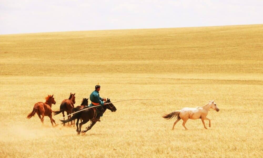 Pastores de caballos montando, guiando, atrapando o disfrutando de sus caballos en Mongolia Interior, China, julio de 2019. Crédito: © Ludovic Orlando.