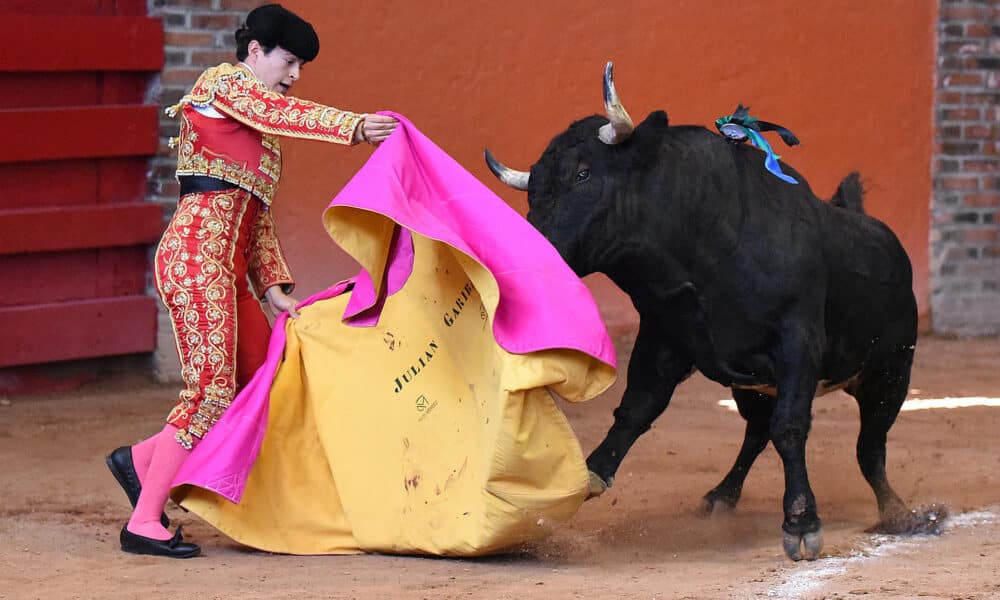 Fotografía de archivo del torero Julián Garibay durante una corrida en la Plaza de Toros Arroyo de Ciudad de México (México). EFE/Tadeo Alcina