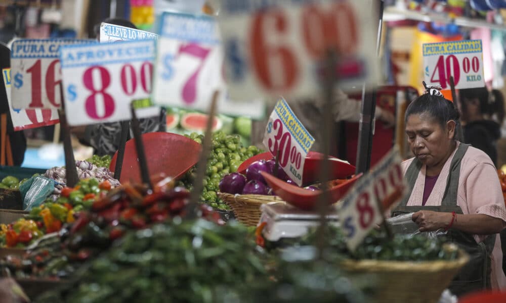 Una persona ofrece sus productos en el mercado de Jamaica de la Ciudad de México (México). Imagen de archivo. EFE/Isaac Esquivel