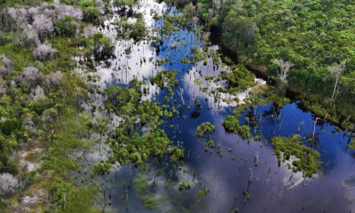 Fotografía aérea donde se observa una zona del Río Urubú, el 14 de junio de 2024, en la Amazonía brasileña (Brasil). EFE/ Antonio Lacerda.