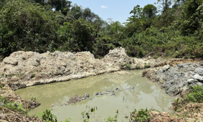 El sur de Ghana es un foco mundial de amenazas a la biodiversidad inducidas por la extracción. La minería artesanal de oro de aluvión a pequeña escala, como ésta, amenaza importantes zonas de aves debido a la contaminación ambiental por mercurio. Fotografía facilitada por David Edwards, investigador de la Universidad británica de Cambridge. EFE