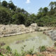 El sur de Ghana es un foco mundial de amenazas a la biodiversidad inducidas por la extracción. La minería artesanal de oro de aluvión a pequeña escala, como ésta, amenaza importantes zonas de aves debido a la contaminación ambiental por mercurio. Fotografía facilitada por David Edwards, investigador de la Universidad británica de Cambridge. EFE