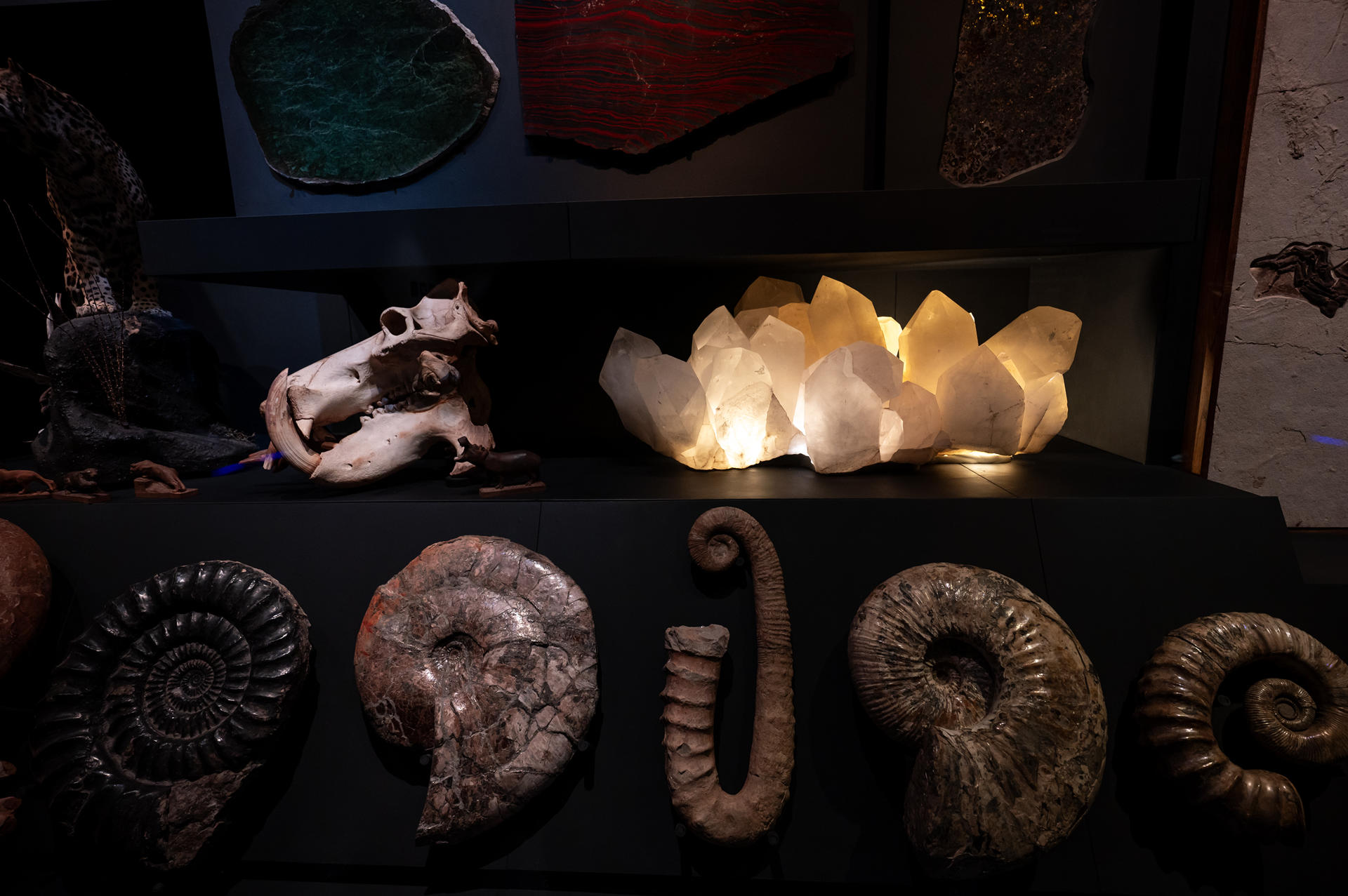 Fotografía de amotines, que forman parte de una colección exhibida este miércoles en la casa museo La Milarca, en la ciudad de Monterrey (México). EFE/Miguel Sierra
