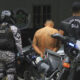 Fotografía tomada de la cuenta de la red social X de la Policía Nacional de Panamá que muestra a dos policías junto a un detenido salvadoreño este 11 de julio de 2024, en Ciudad de Panamá (Panamá). EFE/ Policía Nacional de Panamá