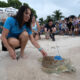 Fotografía cedida por la Oficina de Noticias de los Cayos de Florida donde aparece Bette Zirkelbach (i) mientras libera a la tortuga marina verde 'Roseleigh' este viernes frente a los Cayos de Florida en la playa de Sombrero Beach en Marathon, Florida. EFE/Andy Newman/Oficina de Noticias de los Cayos de Florida /SOLO USO EDITORIAL /NO VENTAS /SOLO DISPONIBLE PARA ILUSTRAR LA NOTICIA QUE ACOMPAÑA /CRÉDITO OBLIGATORIO